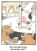 untitled.png