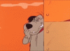 1780AD3C-B9F6-4E8D-B0E6-AAB58E40423F.gif