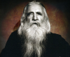 moondog_cover.png