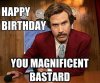 e4fb0ec6ef0bfbe771a796372c91de86--funny-happy-birthday-meme-happy-birthday-pictures.jpg