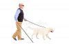 blind-man-moving-walking-stick-his-dog-26849837.jpg