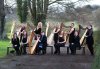 irishharporchestra2014.jpg