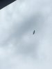 B527E133-7337-4A11-A253-27CEBB702847.jpeg