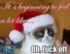 9753e8a192ac4d4c13e085b727d22ff7--christmas-cookies-front-doors.jpg