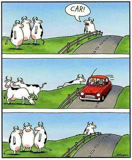 gary_larson_cows.jpg