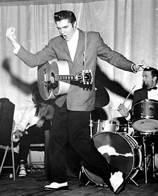 Elvis Presley, King of Rock N Roll - FunCage