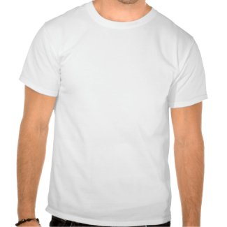 you_cant_fix_stupid_tshirt-p235639099950160951adc0r_325.jpg