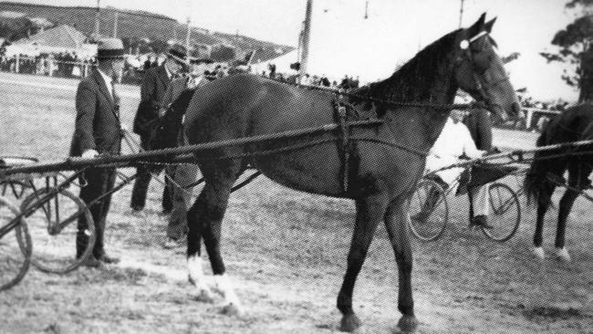 Harness racing at the Brookvale Show in 1936