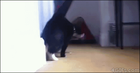 1GF46jV.gif