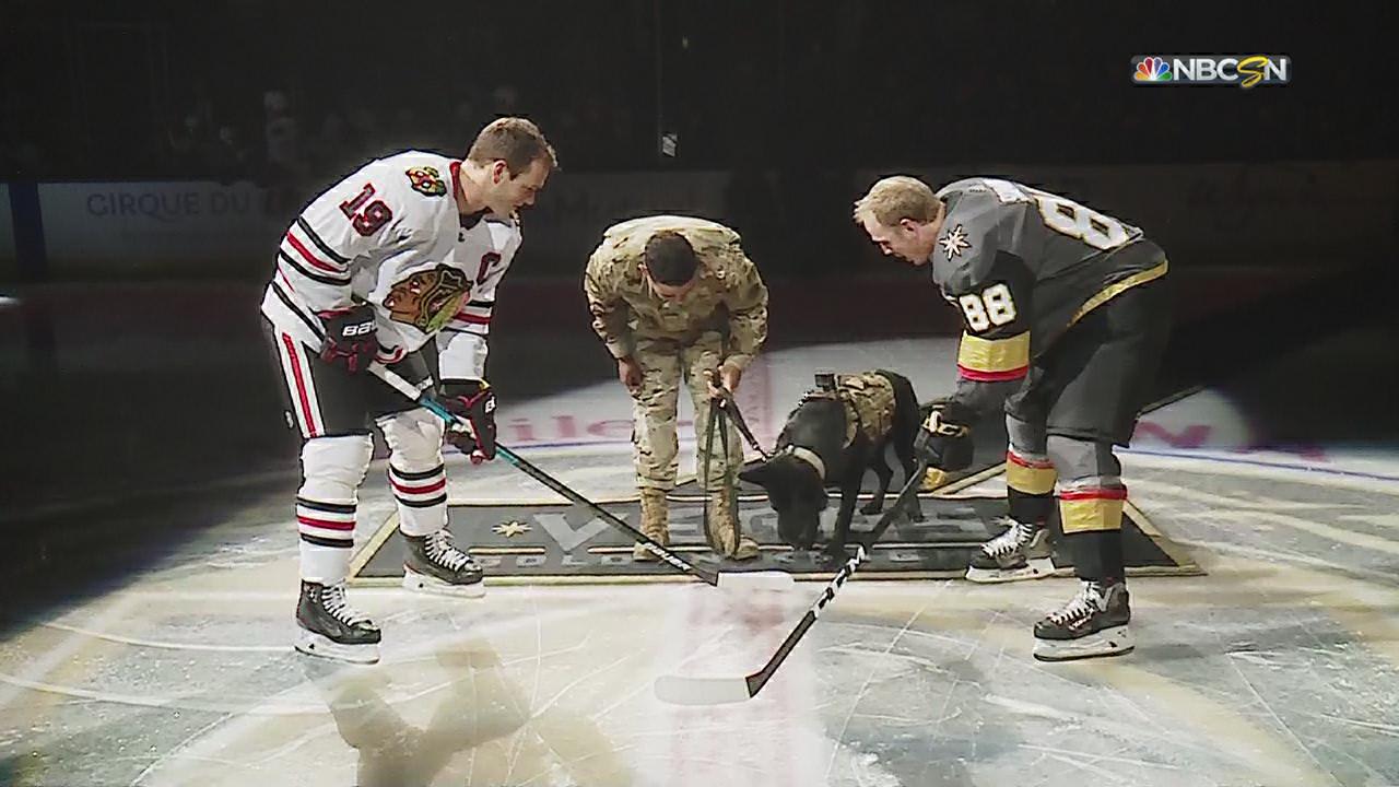 www.nhl.com