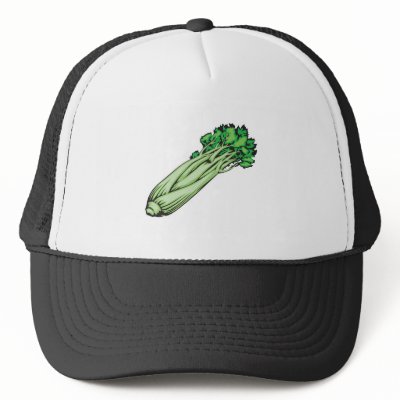 celery_hat-p148734876384033967qz14_400.jpg