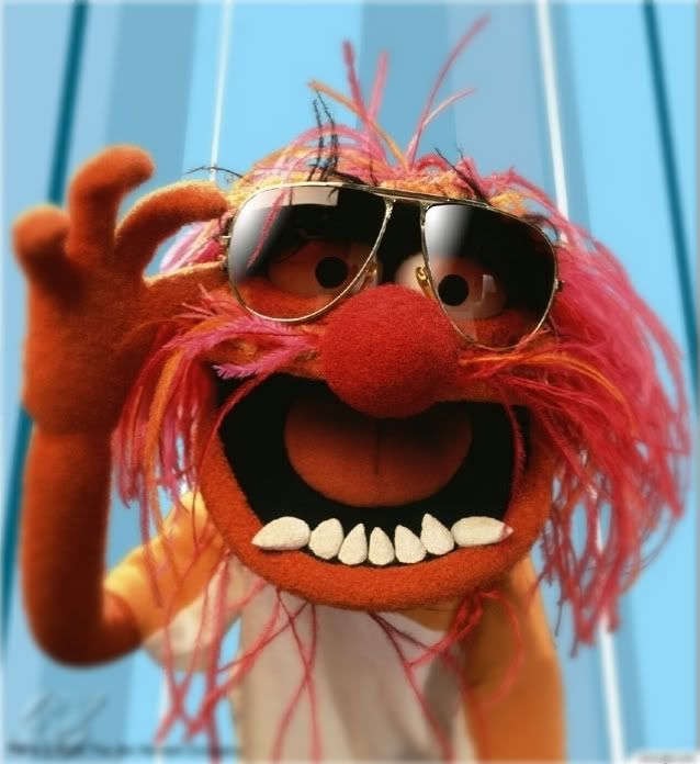 animal_muppet_-1.jpg