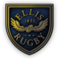 ellisrugby.com