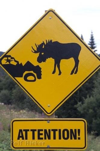 funny_road_sign_sc0456.jpg