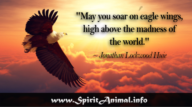 Eagle Quotes - Spirit Animal Info