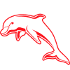 Dolphins squad