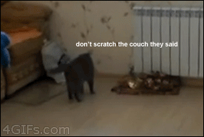 6LNA3FC.gif