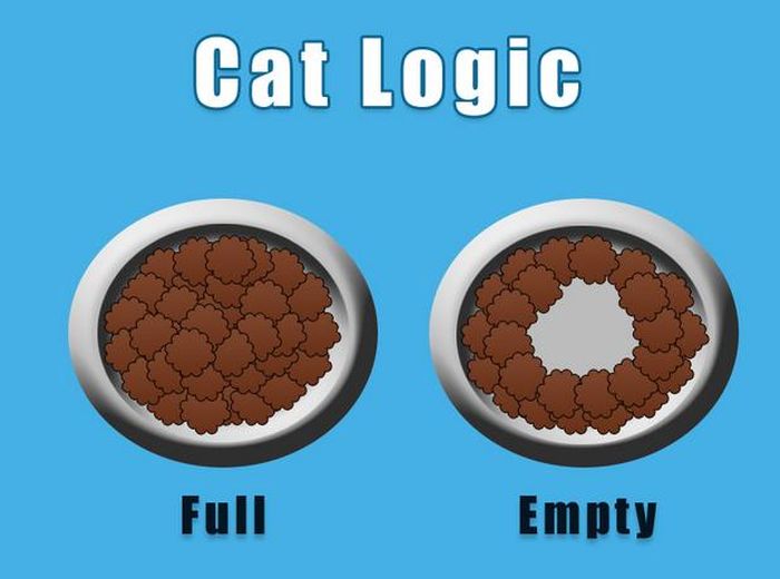 cat-owner-21.jpg