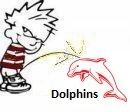 ManlyVsDolphins2.jpg