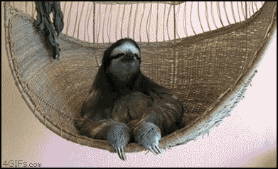 lDs7b.gif