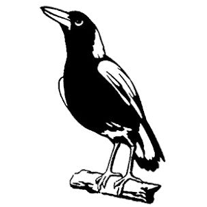 www.westsmagpies.com.au