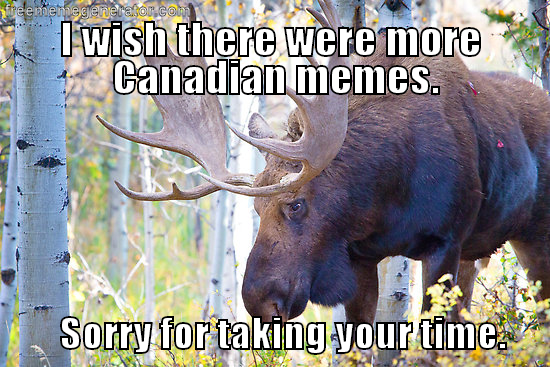 L7nd5BT.png