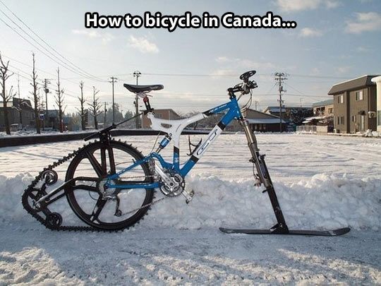 funny-bicycle-snow-winter-ski.jpg